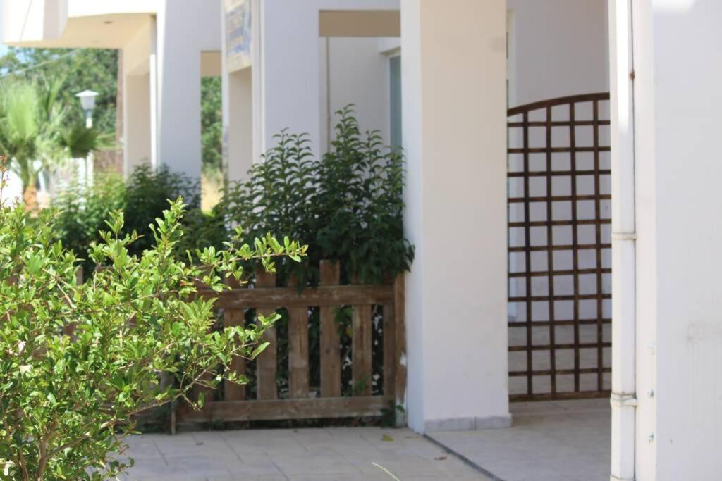 Spacious & Cozy Apartment, With Big Yard, In Kos Екстериор снимка